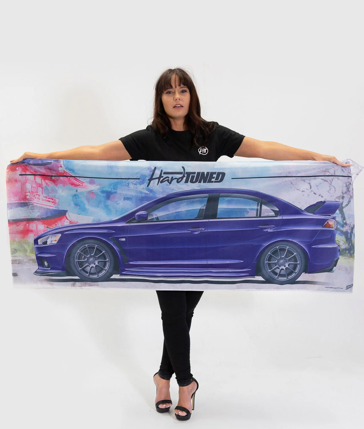 Mitsubishi EVO 10 Bundle - Image 6